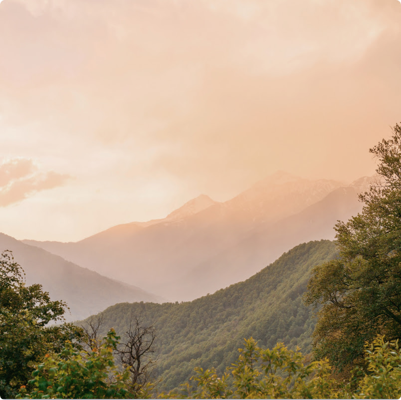 Art_vegetarian_title