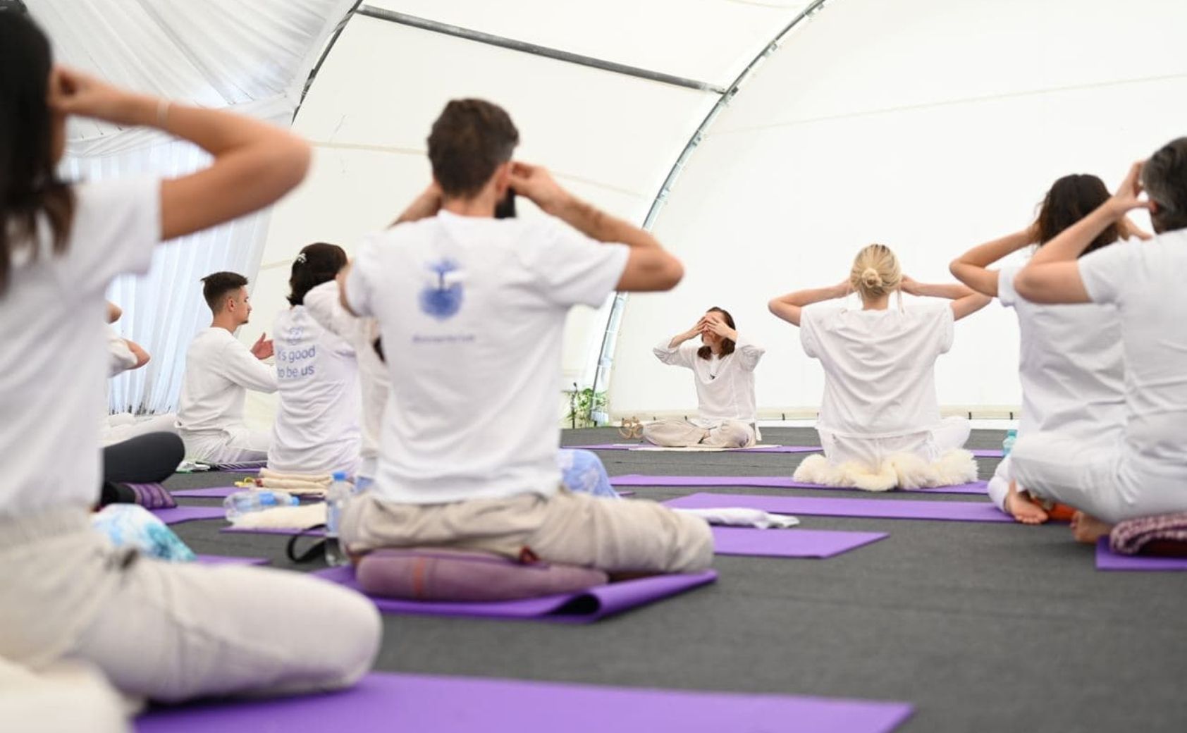 статья 1684 х 1040